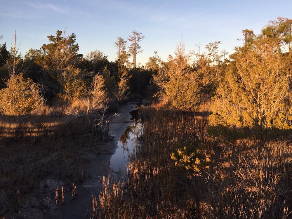 Cedar Point Tideland Trailhead