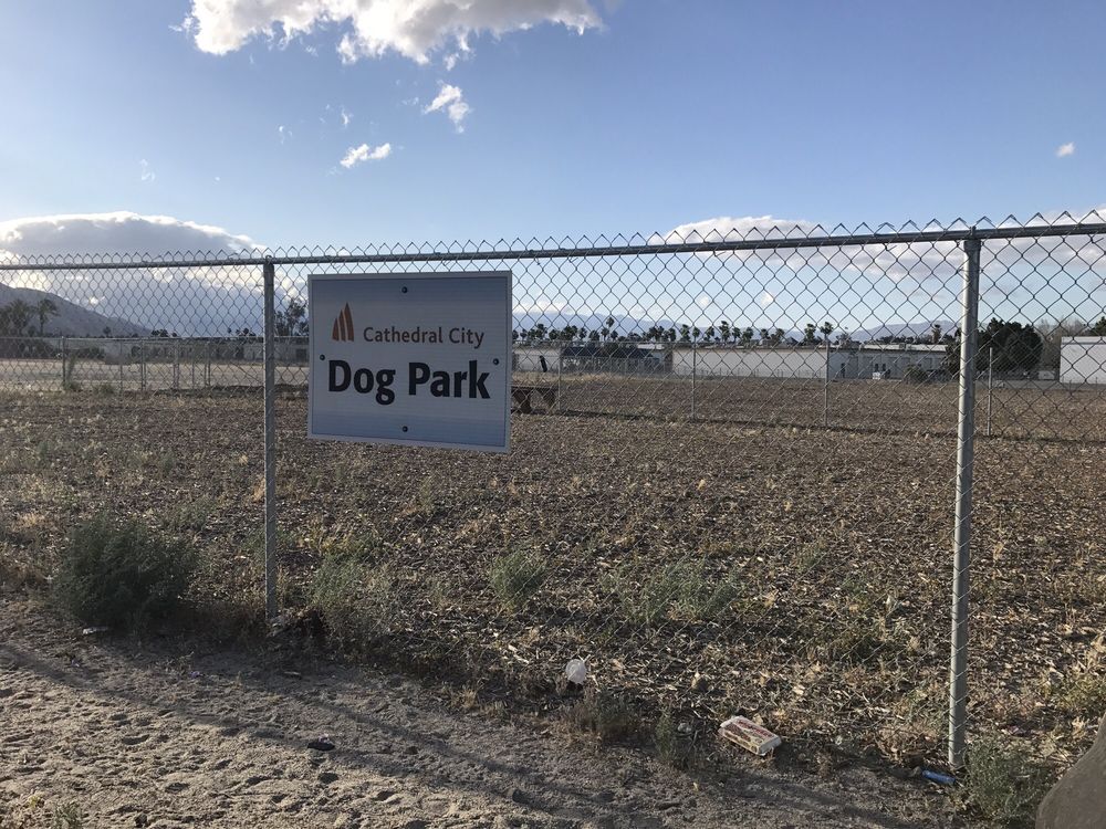 CATHEDRAL CITY DOG PARK Updated October 2024 39 Photos & 16 Reviews
