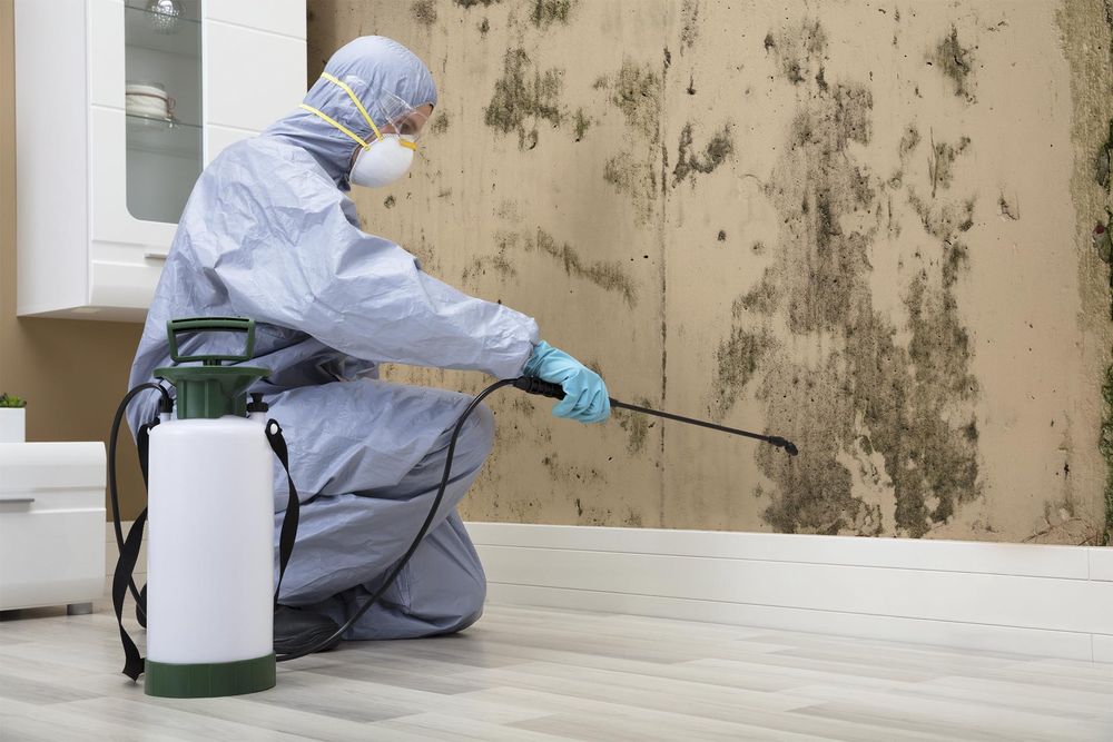 Eye Spy Mold - mold inspector in St. Cloud, FL