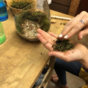 Ephemera Terrariums - Mashing the moss for the outside. - Gift Shops Near Me - Fort Worth, Texas Ephemera Terrariums - Mashing the moss for the outside. - Gift Shops Near Me - Fort Worth, Texas