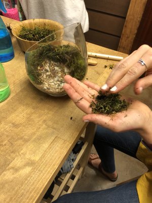 Ephemera - Plants, Terrariums and Comics by null