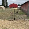 Bi-Zi Farms gift card