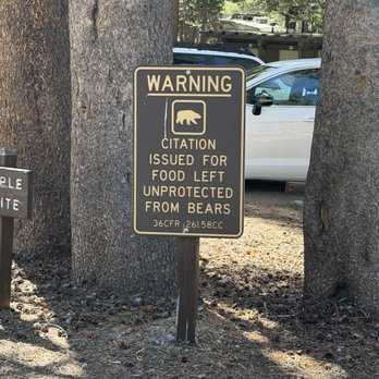 Twin Lakes Campground - September 9, 2026 - Yes, there are bears. - Campgrounds Near Me - Mammoth Lakes, California Twin Lakes Campground - September 9, 2026 - Yes, there are bears. - Campgrounds Near Me - Mammoth Lakes, California