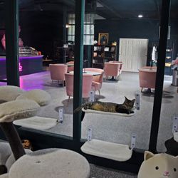 Katy's