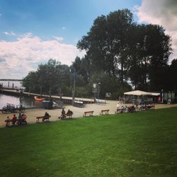 Strandfloh Kollmar - Strandfloh Kollmar