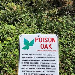Hiouchi Visitor Center - Poison oak warning