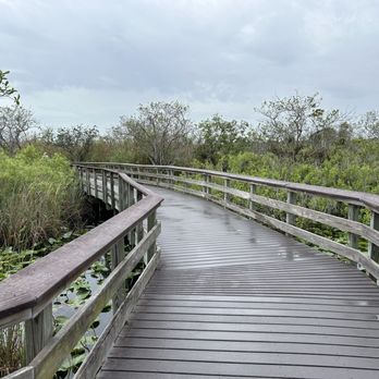 Anhinga Trail - Hiking Near Me - Homestead, Florida Anhinga Trail - Hiking Near Me - Homestead, Florida