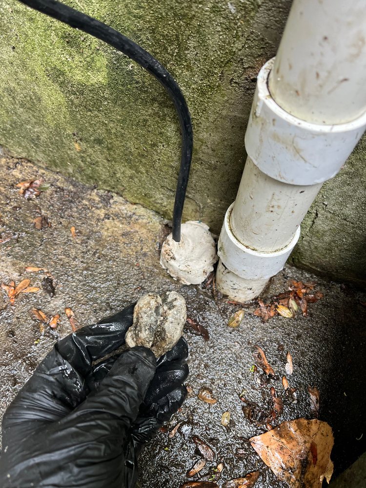 Slide of The Pipe Doctor