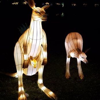 Chinese Lantern Festival - Festivals Near Me - Lauderhill, Florida