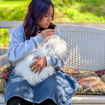 Maui Alpaca - Bunny cuddles :) - Attraction Farms Near Me - Makawao, Hawaii Maui Alpaca - Bunny cuddles :) - Attraction Farms Near Me - Makawao, Hawaii