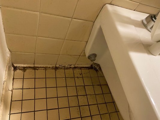 AHN Allegheny General Hospital by null