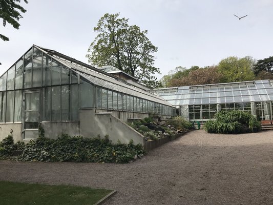 Botaniska trädgården by null