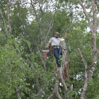 J & J Tree Care Professionals - Tree Services Near Me J & J Tree Care Professionals - Tree Services Near Me