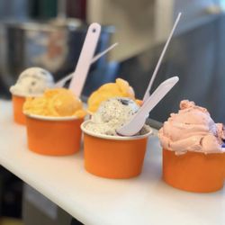 Skinny Dip Ice Cream - Single scoop cups