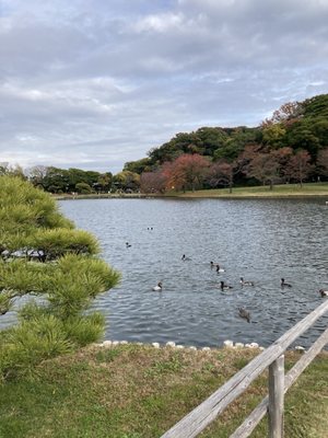 Sankeien Garden by null