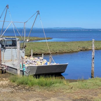 Oysterville Sea Farms - Specialty Food Near Me - Oysterville, Washington Oysterville Sea Farms - Specialty Food Near Me - Oysterville, Washington