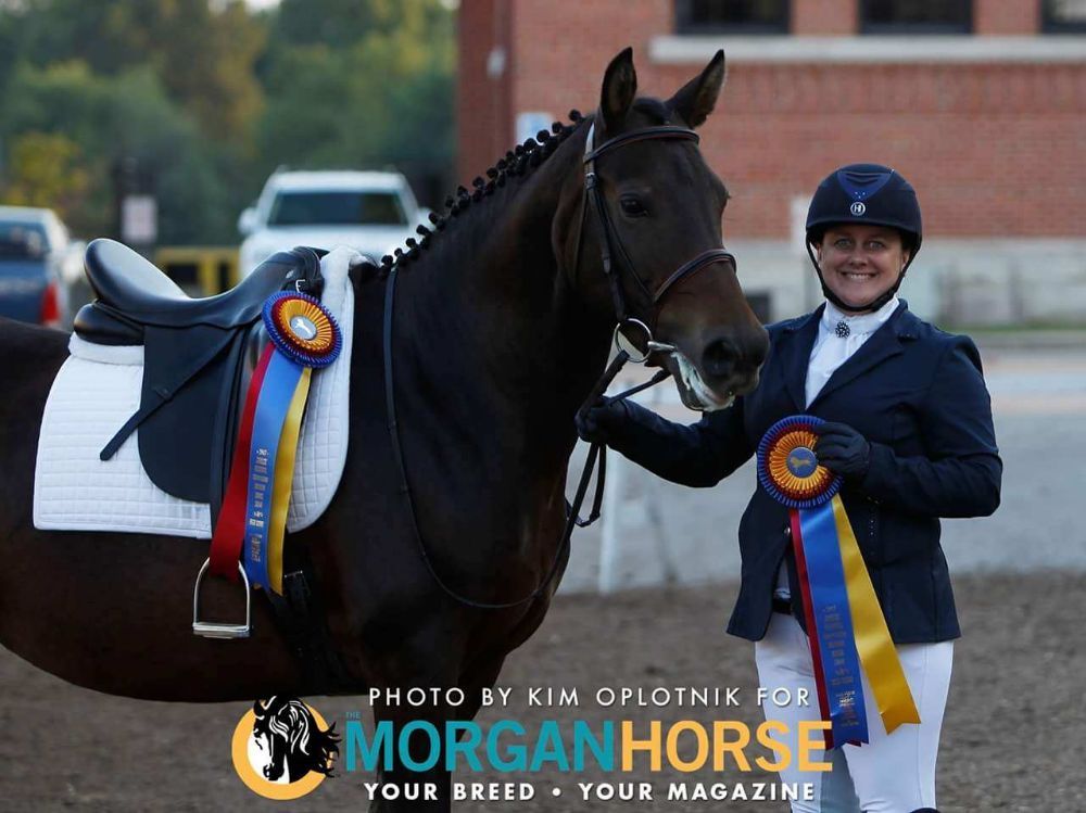 Lindinhof Equine Sports Zentrum - equestrian in Oregon, WI