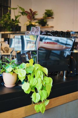Harder Day Coffee Company by null