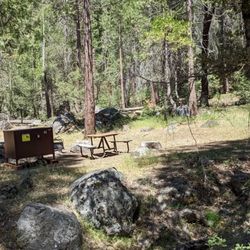 Wawona Campground - Loop B site 41