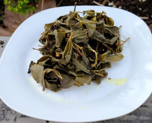 Floating Leaves Tea by null