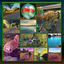Montage of images from Los Gatos Creek County Park