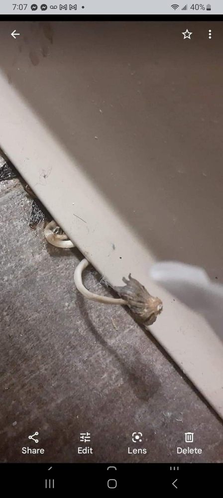 Florence Park Apartments - property management company in Florence, AZ