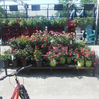 Walmart Garden Center - Walmart Garden Center - Nurseries & Gardening Near Me - Summerville, South Carolina Walmart Garden Center - Walmart Garden Center - Nurseries & Gardening Near Me - Summerville, South Carolina