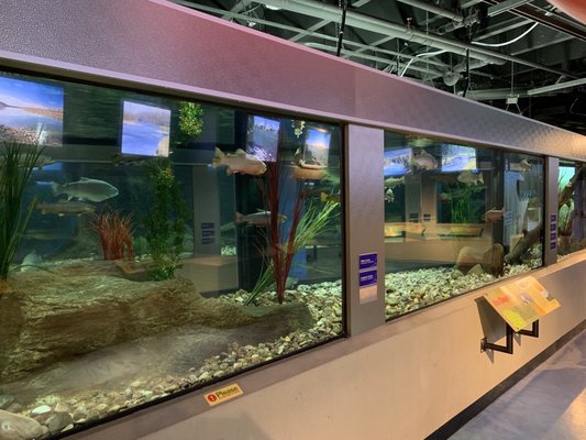 Bow Habitat Station & Sam Livingston Fish Hatchery by null