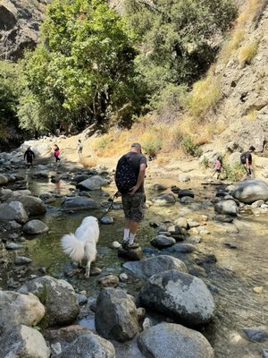 Eaton Canyon Falls by null