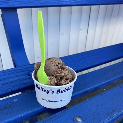 Bailey's Bubble by null