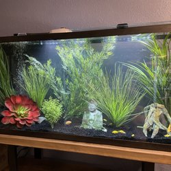 Fish Ninjas