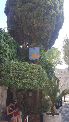 La Colombe d'Or Hotel and Restaurant by null