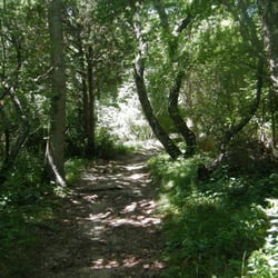 Green Hill Park