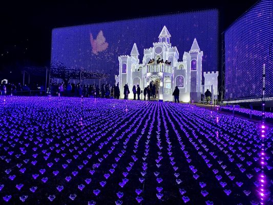 Ashikaga Flower Park by null