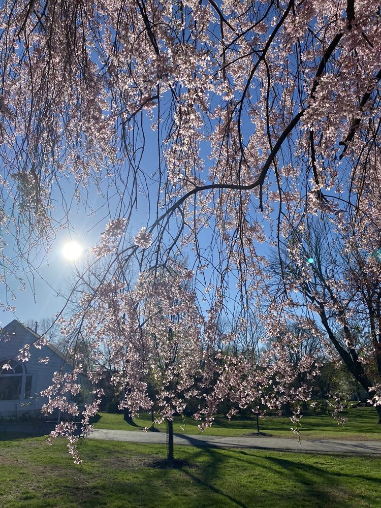 ROBERTS GARDEN Updated October 2024 23 Photos Mountain Way Glen