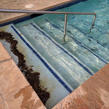 Marriott Dallas/Fort Worth Westlake - I guess the pool cleaner quit a few months ago - Hotels Near Me - Westlake, Texas Marriott Dallas/Fort Worth Westlake - I guess the pool cleaner quit a few months ago - Hotels Near Me - Westlake, Texas