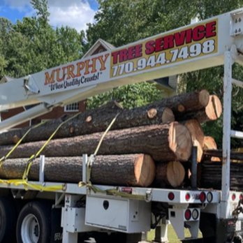 Murphy Tree Expert - Tree Services Near Me - Villa Rica, Georgia