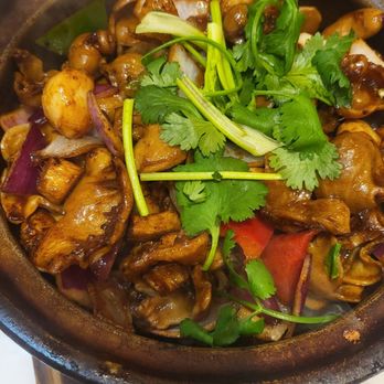 Zhe Zhe Pot - fish maw - Noodles Near Me - Brooklyn, New York Zhe Zhe Pot - fish maw - Noodles Near Me - Brooklyn, New York