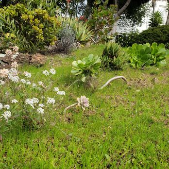 Garber Park - Grass - Hiking Near Me - Berkeley, California