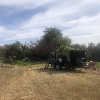 Paradise Tree Service - Now just the bowl of the tree to cut. - Tree Services Near Me - Nipomo, California