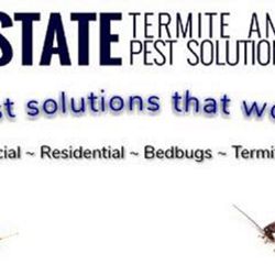 Allstate Termite & Pest Solutions - Allstate Termite & Pest Solutions