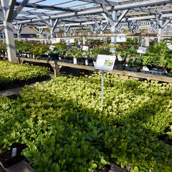O'Donal's Nursery - Nurseries & Gardening Near Me - Gorham, Maine