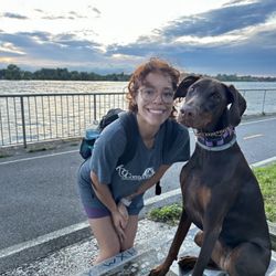 K9 Connection