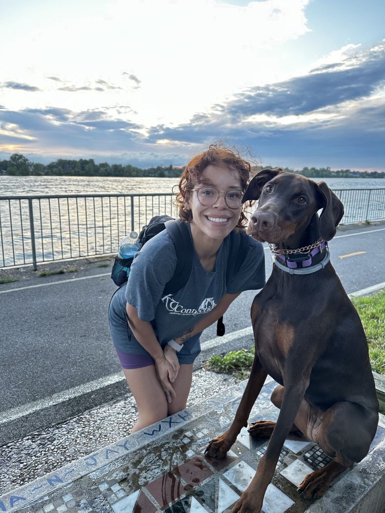 K9 Connection - pet boarding facility in Buffalo, NY