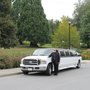 Photo of Enchanted Limousine