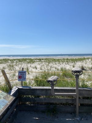 Cape May National Wildlife Refuge by null