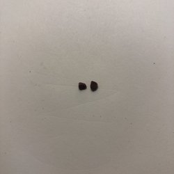 McDonald's - Not sure if it's rocks or tile but it was there and it's pretty solid.