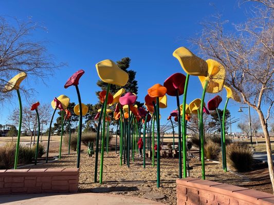 Craig Ranch Regional Park by null