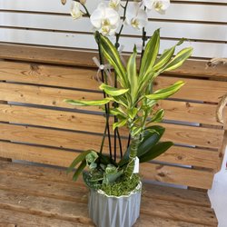 JC Florist & Gifts