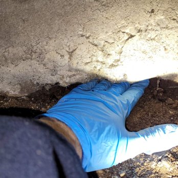 Be Gone Pest Solutions - Access point - Pest Control Near Me - Renton, Washington